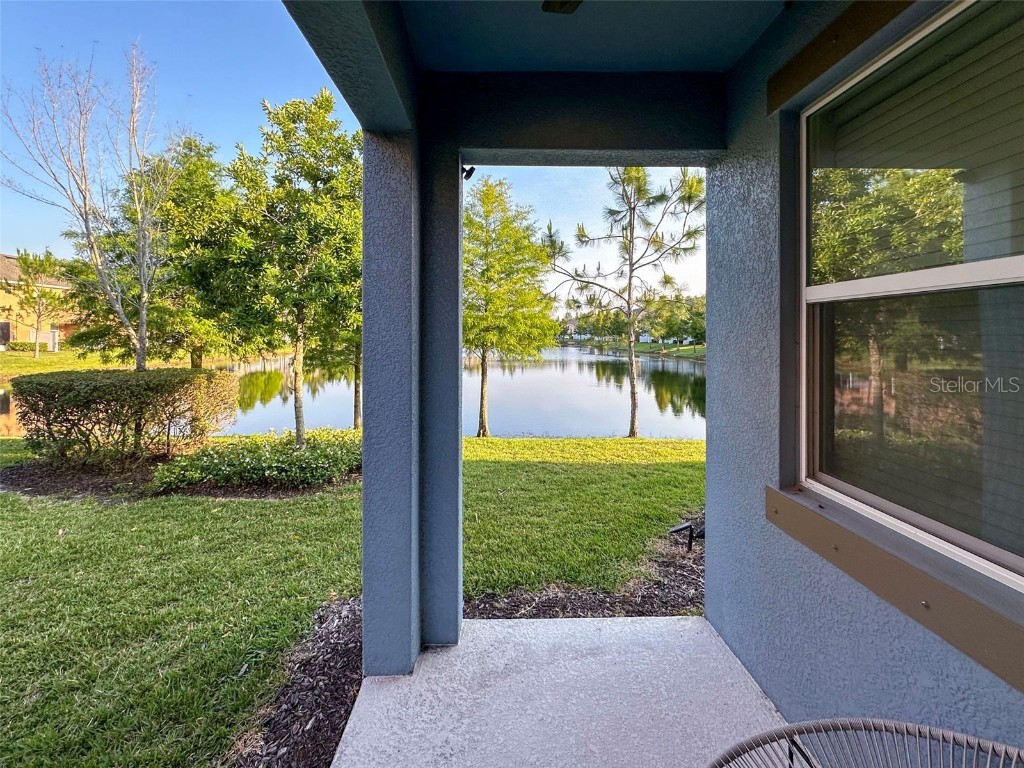 3224 Painted Blossom Court Lutz FL 33558 T3525475 image28