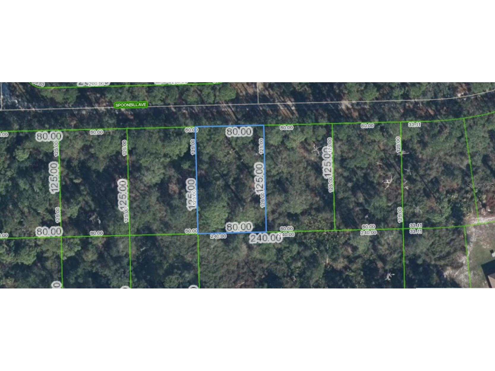 3224 Spoonbill Avenue Lake Placid FL 33852 A4698754 image1