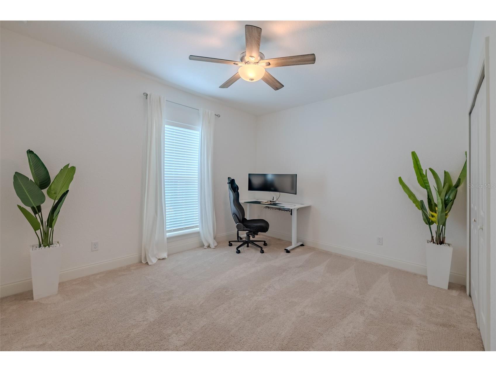 3224 W Empedrado Street Tampa FL 33629 TB8503718 image36