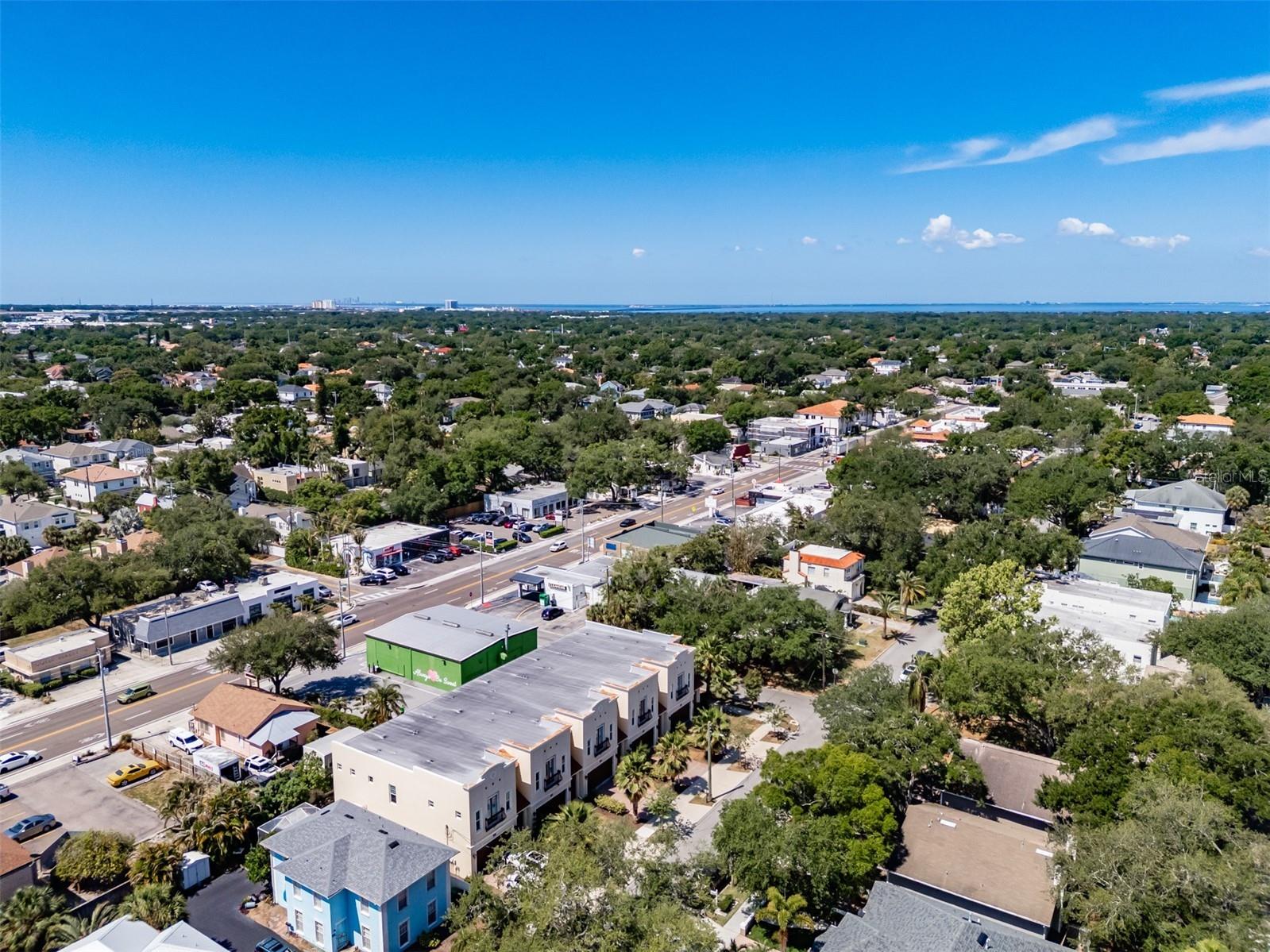 3224 W Empedrado Street Tampa FL 33629 TB8503718 image49