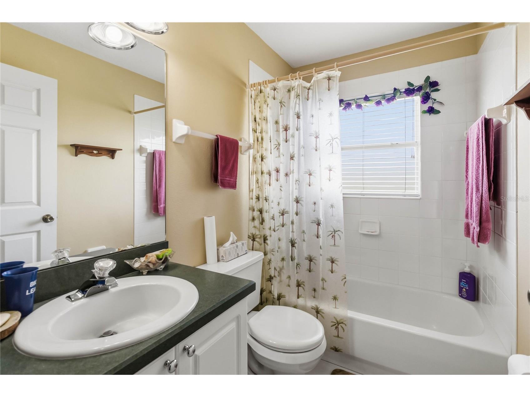 3225 Canoe Creek Road Saint Cloud FL 34772 S5151956 image16