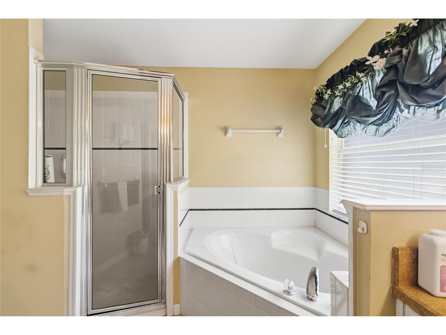 3225 Canoe Creek Road Saint Cloud FL 34772 S5151956 image24