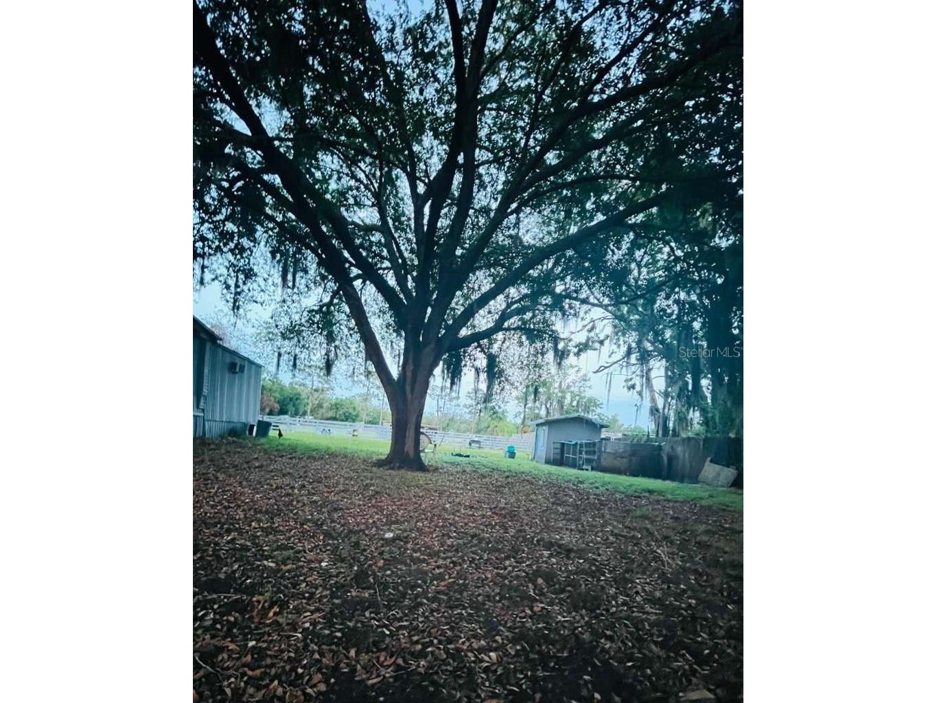 3225 Packard Avenue Saint Cloud FL 34772 O6403521 image16