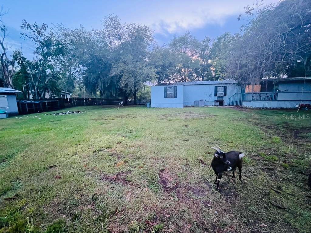 3225 Packard Avenue Saint Cloud FL 34772 O6403521 image4