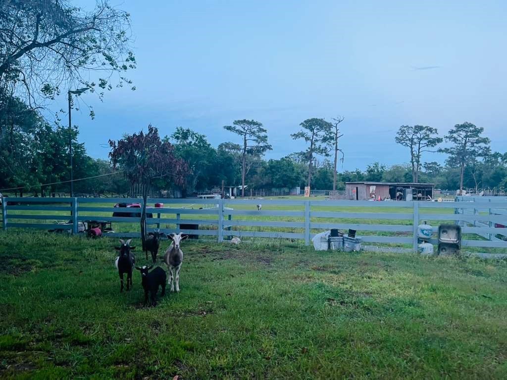 3225 Packard Avenue Saint Cloud FL 34772 O6403521 image7