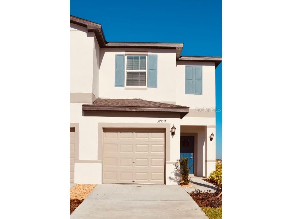 32259 Powderpuff Mimosa Drive San Antonio FL 33576 T3506016 image1