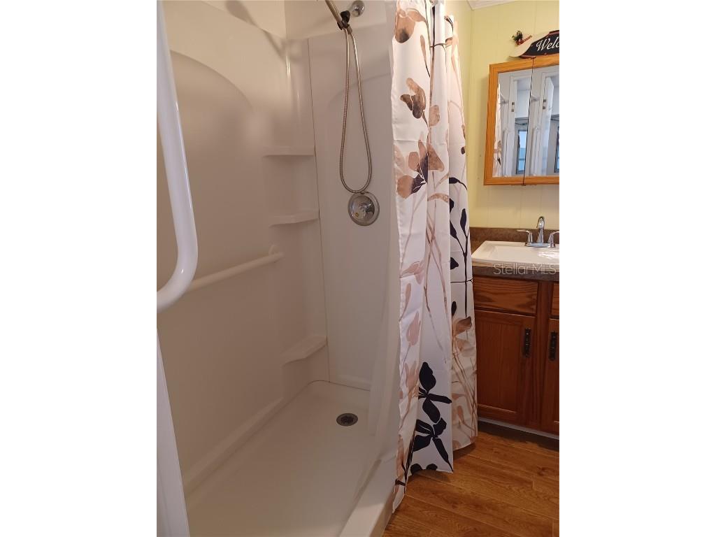 3226 Carnation Lane Zephyrhills FL 33541 T3516802 image10