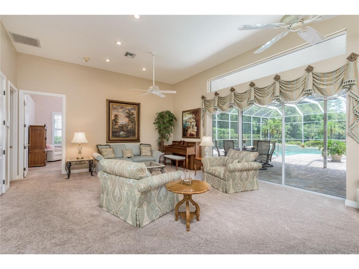 3226 Crescent Oaks Boulevard, Tarpon Springs, FL, 34688 MLS T3512159