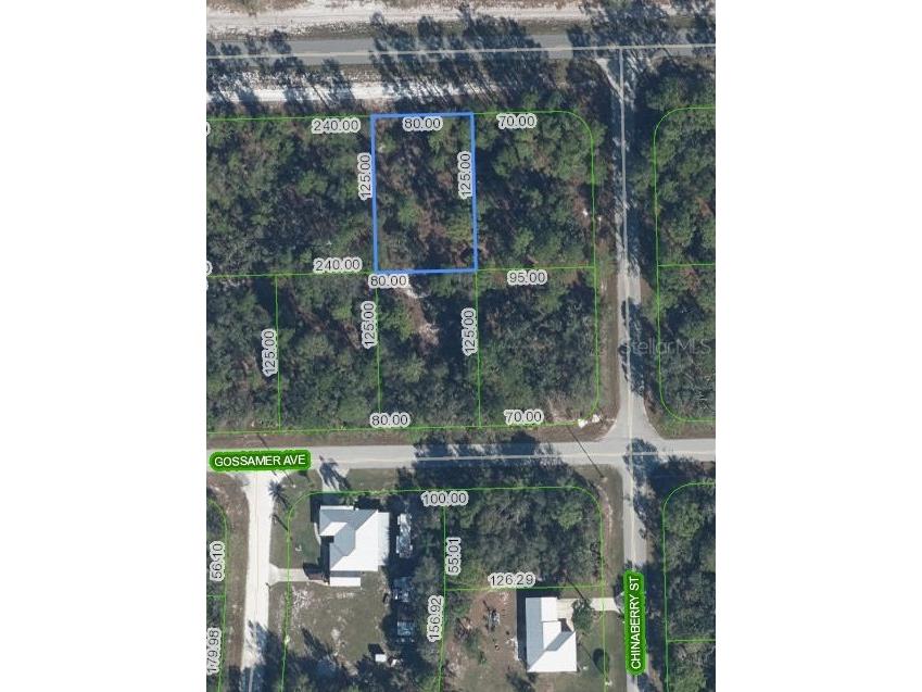 3226 Lake June Boulevard Lake Placid FL 33852 O6339536 image1