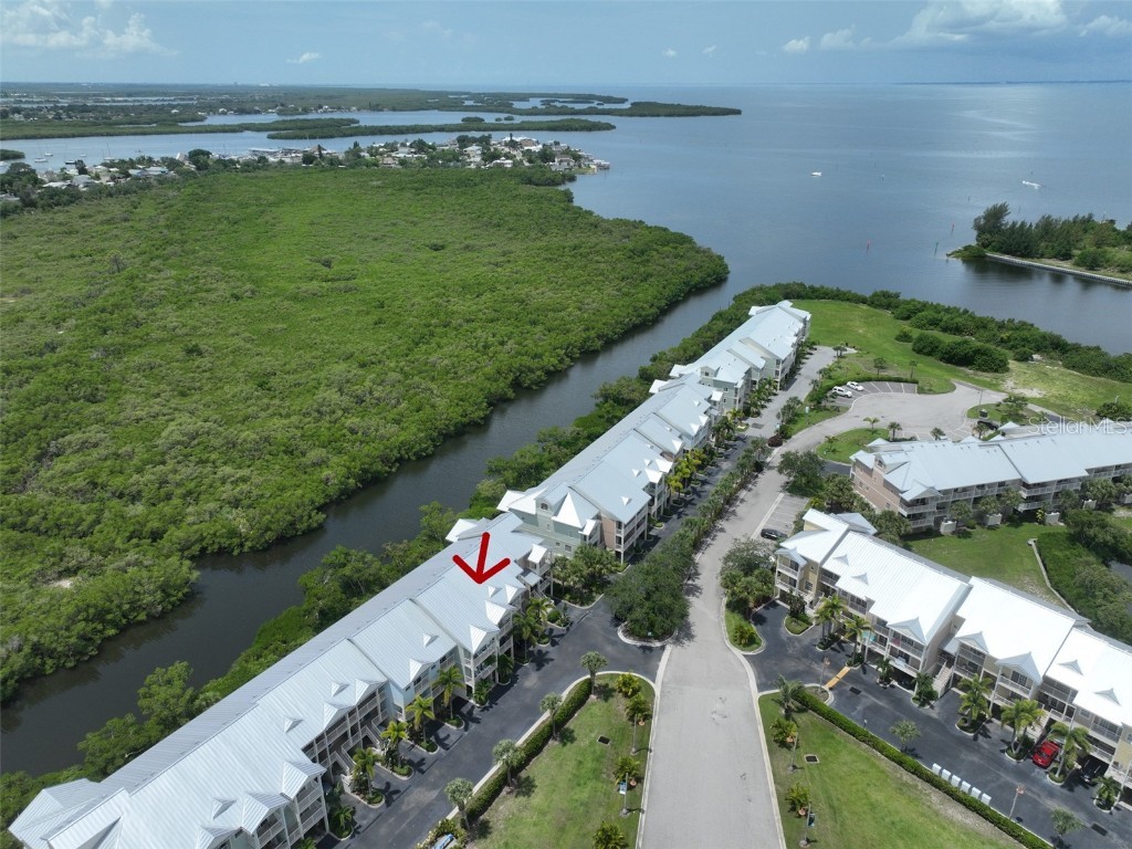 3226 Mangrove Point Drive Ruskin FL 33570 T3546286 image1