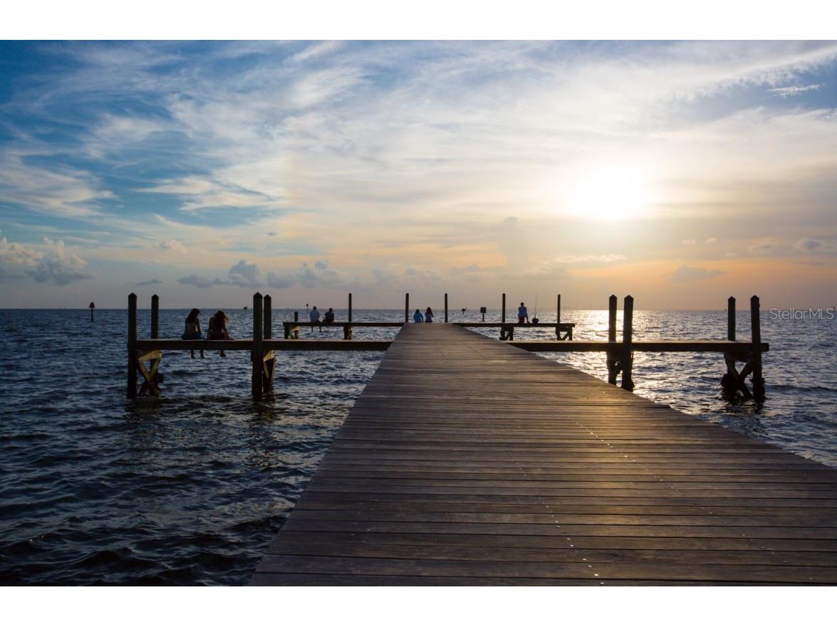 3226 Mangrove Point Drive Ruskin FL 33570 T3546286 image27