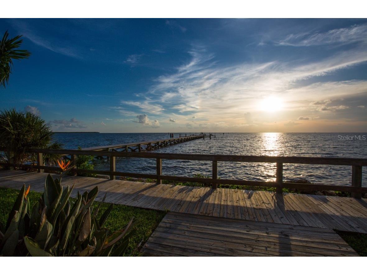 3226 Mangrove Point Drive Ruskin FL 33570 T3546286 image28