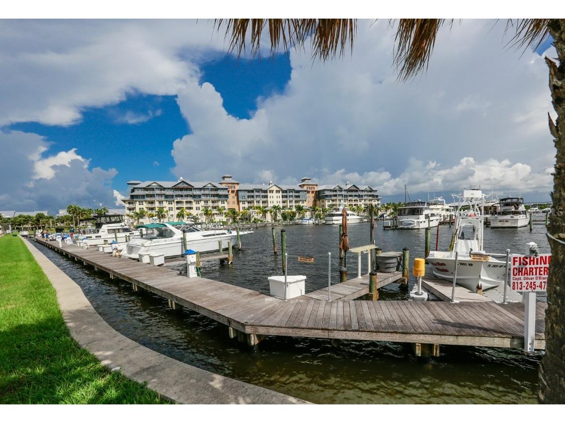 3226 Mangrove Point Drive Ruskin FL 33570 T3546286 image29