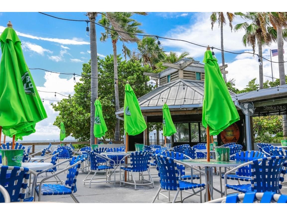 3226 Mangrove Point Drive Ruskin FL 33570 T3546286 image36