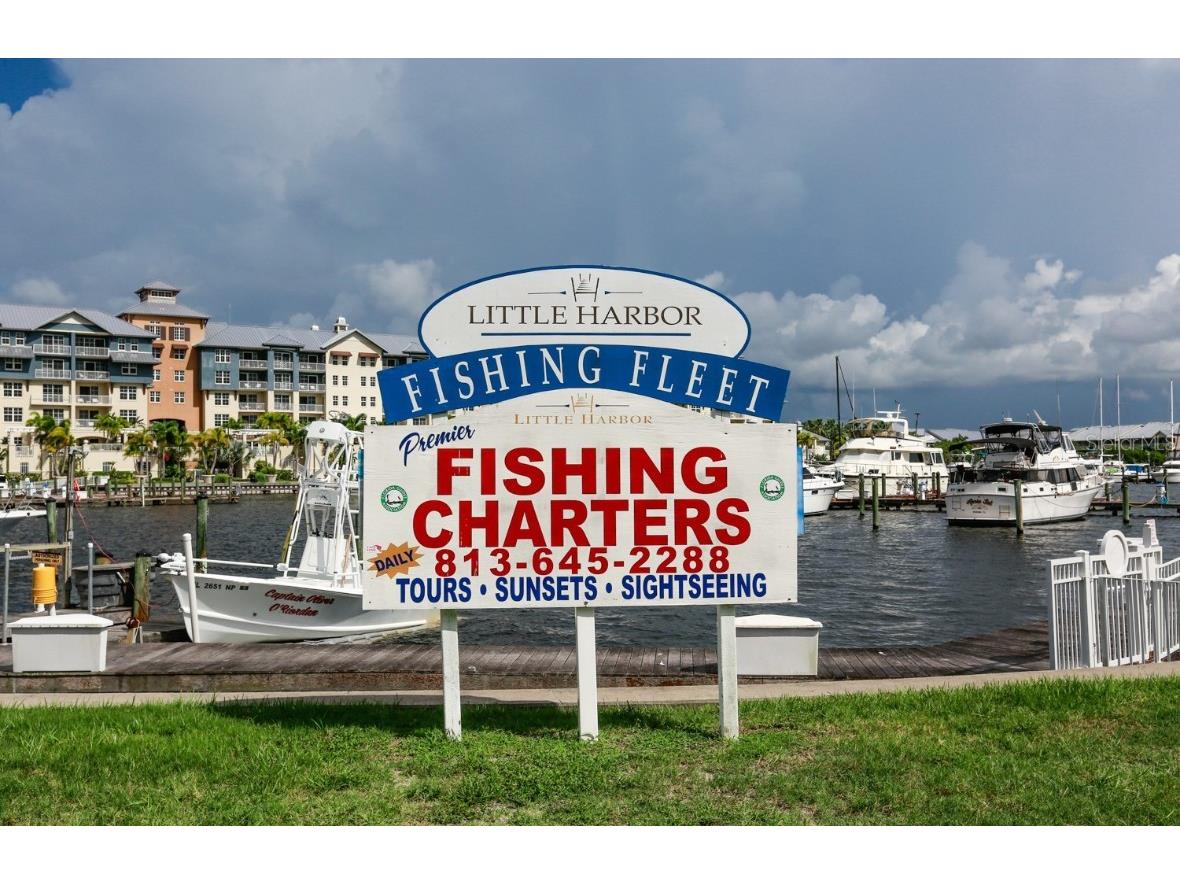 3226 Mangrove Point Drive Ruskin FL 33570 T3546286 image38