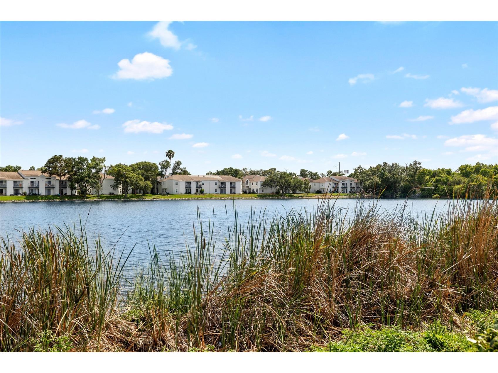 3226 Nautical Place S Saint Petersburg FL 33712 TB8506418 image33