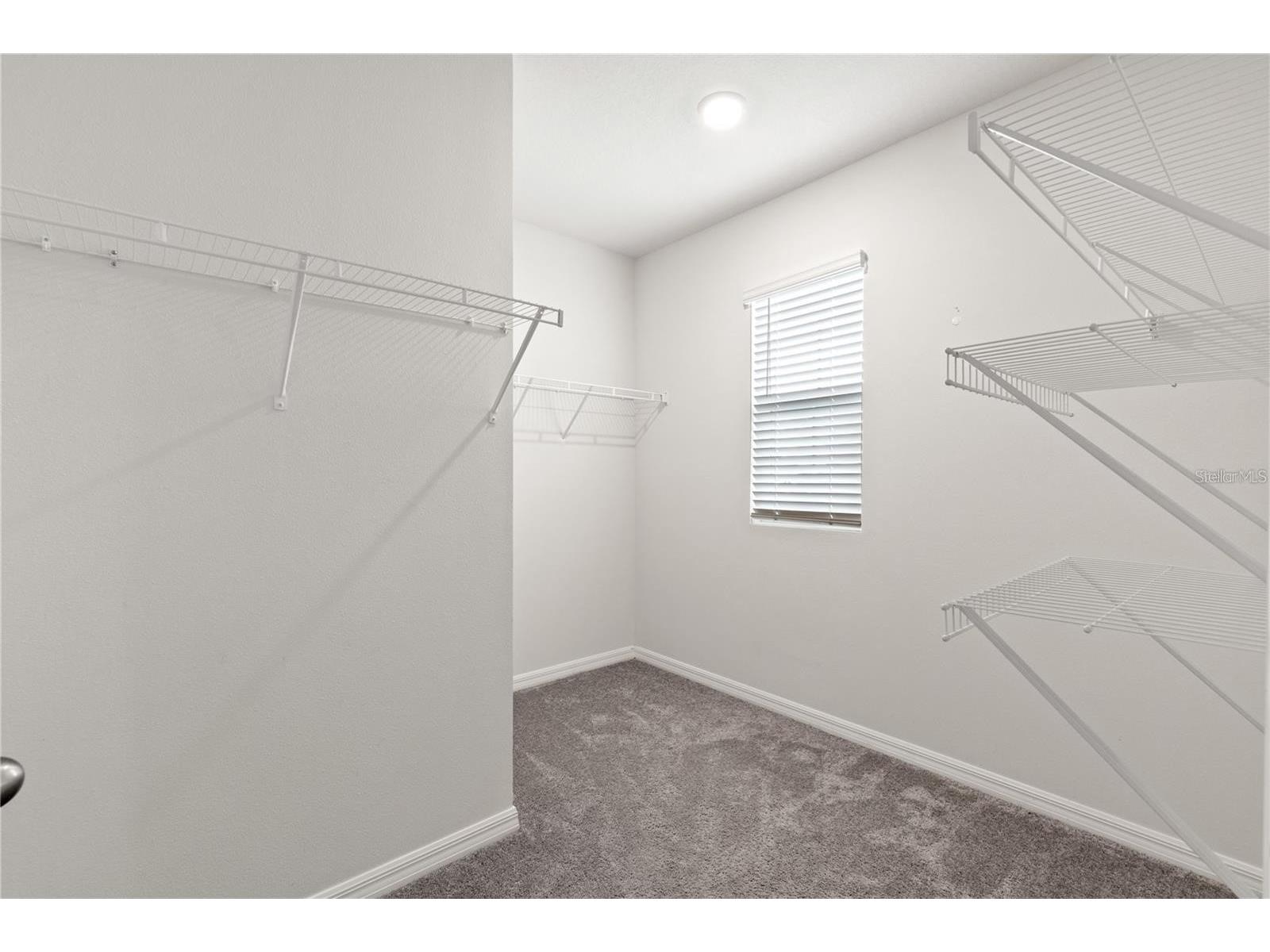 3226 Suncoast Plains Drive Odessa FL 33556 TB8517201 image19