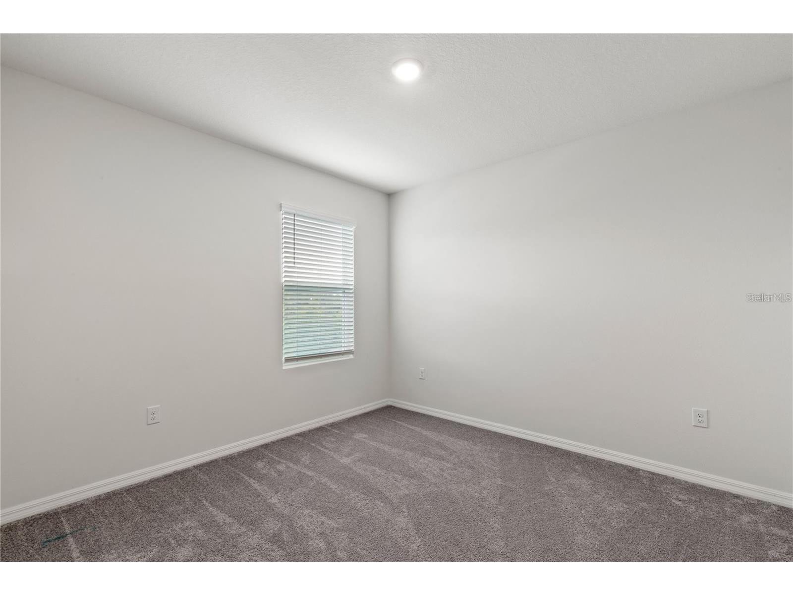3226 Suncoast Plains Drive Odessa FL 33556 TB8517201 image25