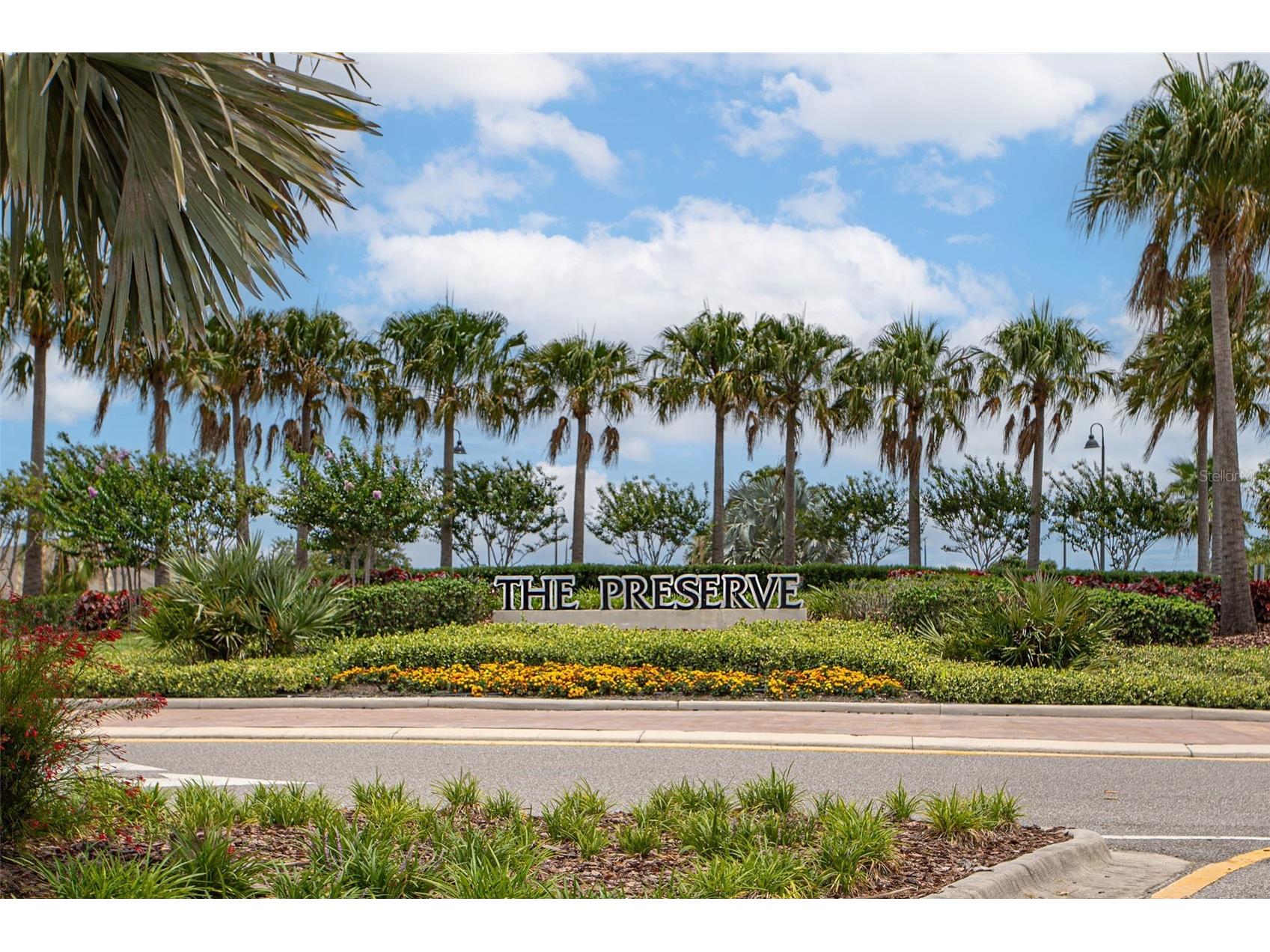3226 Suncoast Plains Drive Odessa FL 33556 TB8517201 image32