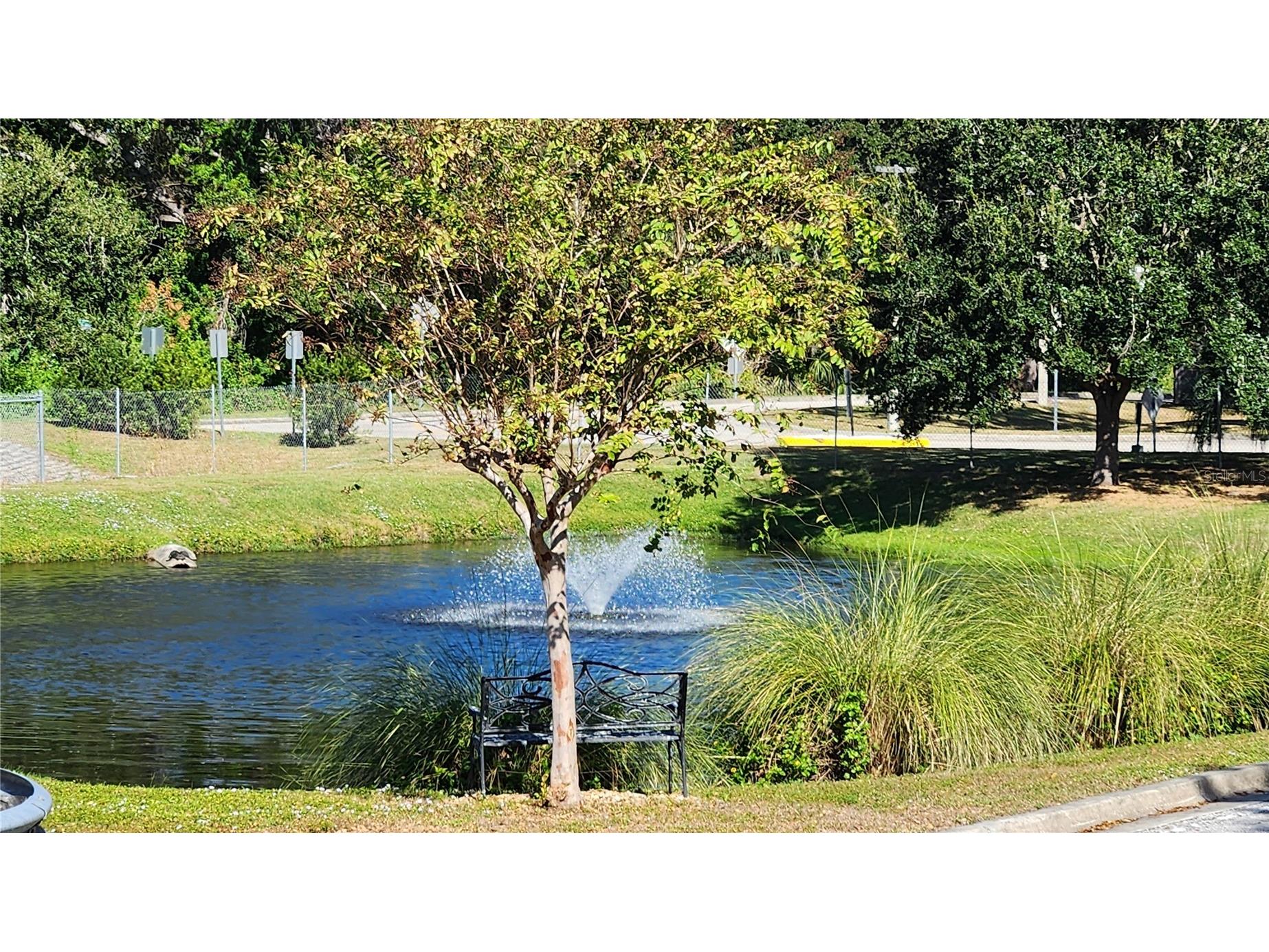 3226 Sweet Bay Terrace Sarasota FL 34237 A4698716 image66
