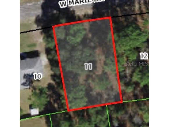 3226 W Marie Drive Citrus Springs FL 34433 A4578312 image1