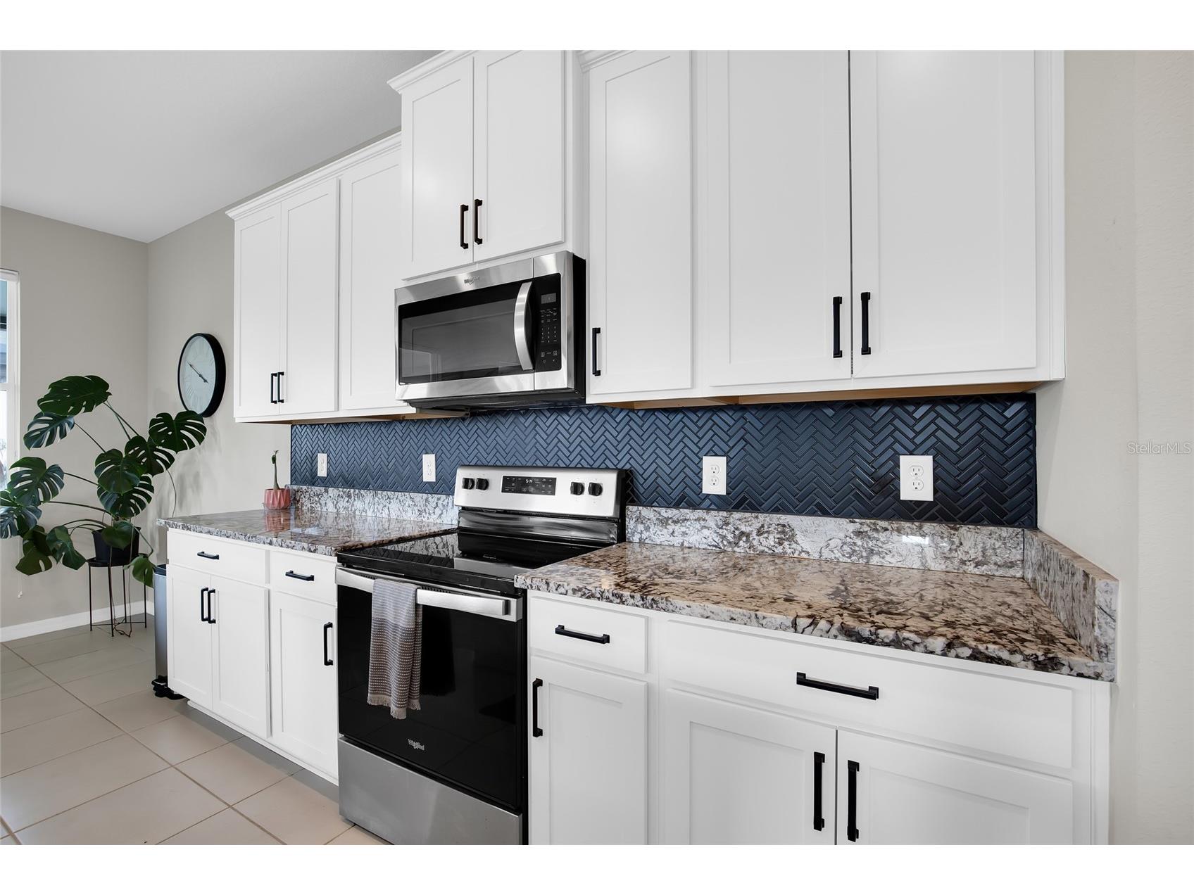 32265 Conchshell Sail Street Wesley Chapel FL 33545 TB8494878 image15
