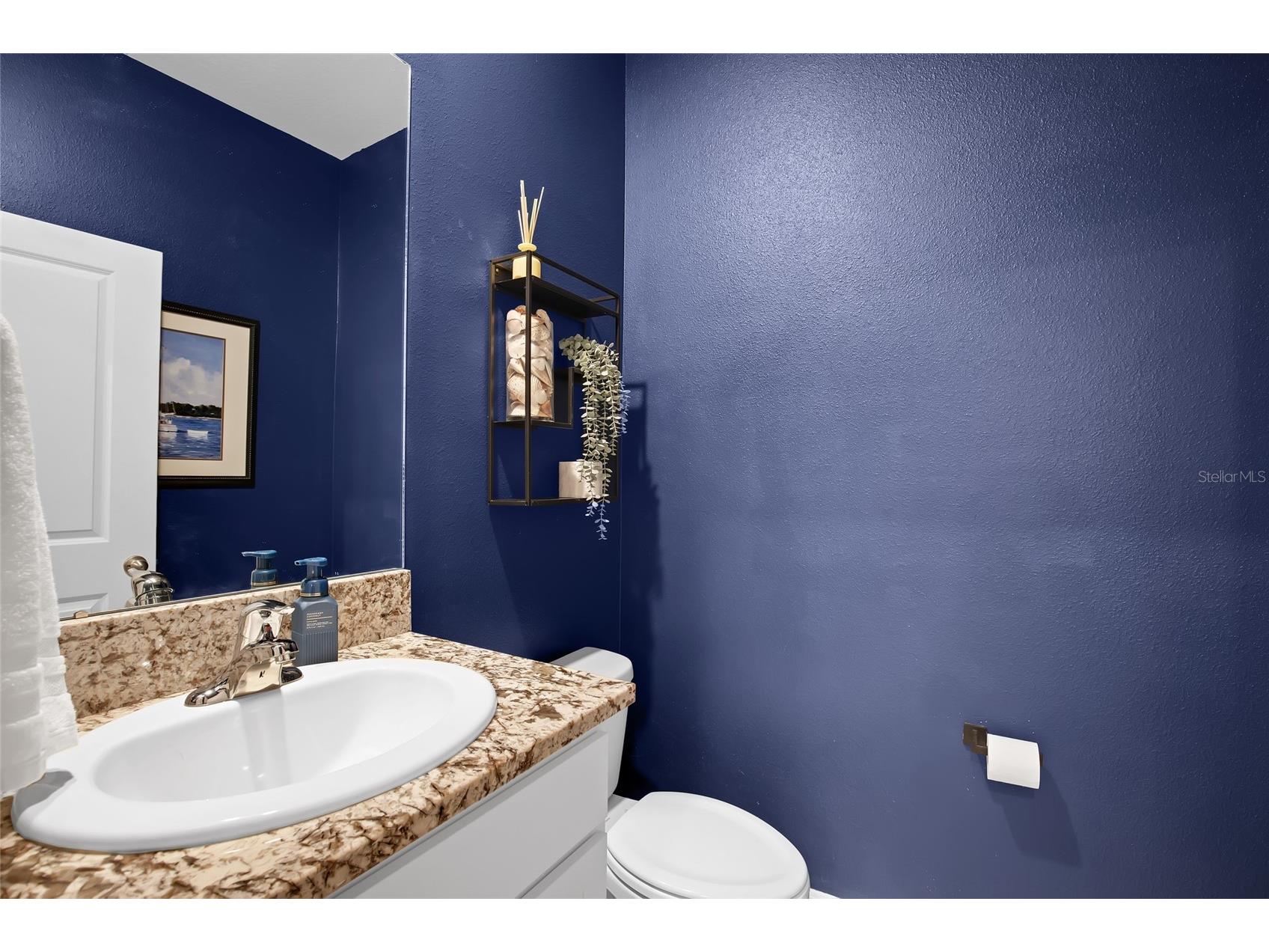 32265 Conchshell Sail Street Wesley Chapel FL 33545 TB8494878 image21