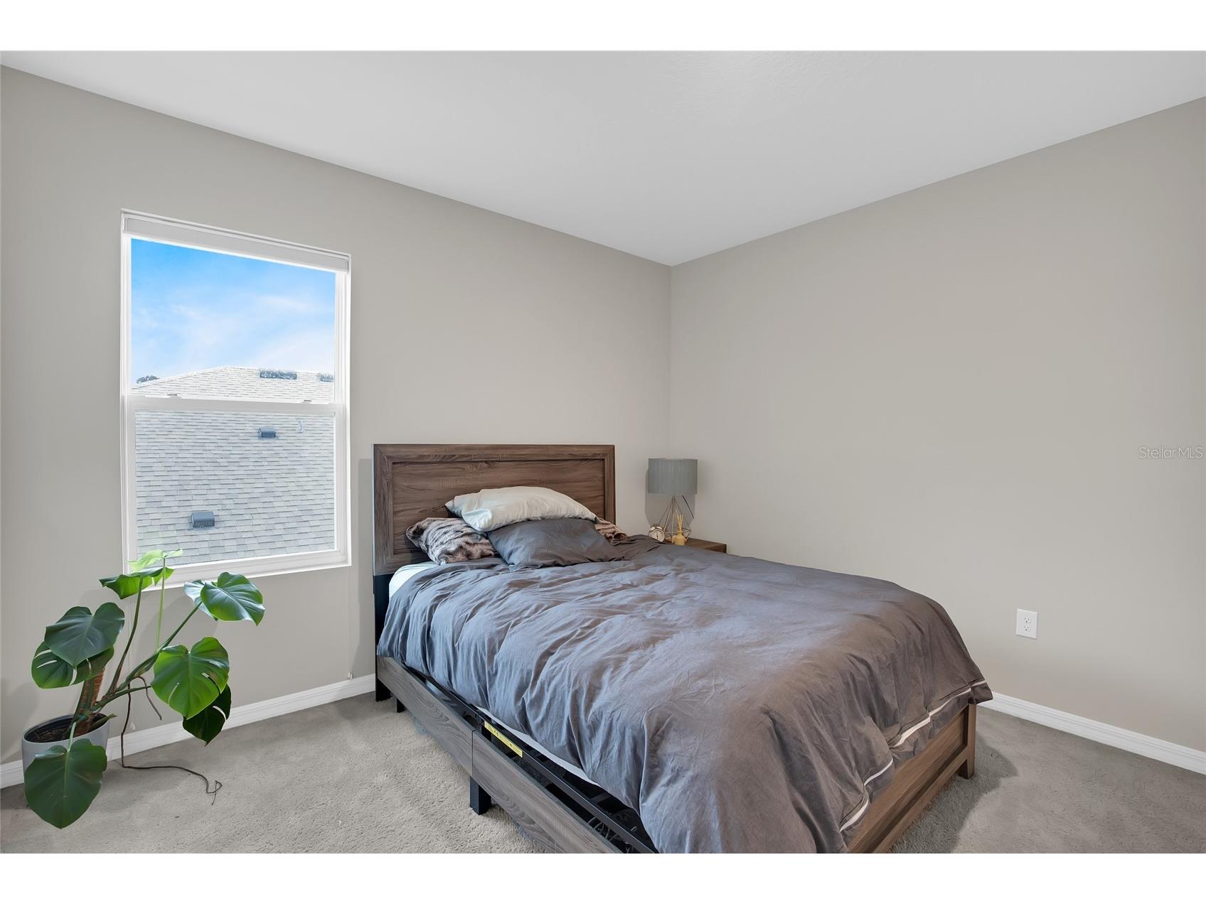 32265 Conchshell Sail Street Wesley Chapel FL 33545 TB8494878 image32