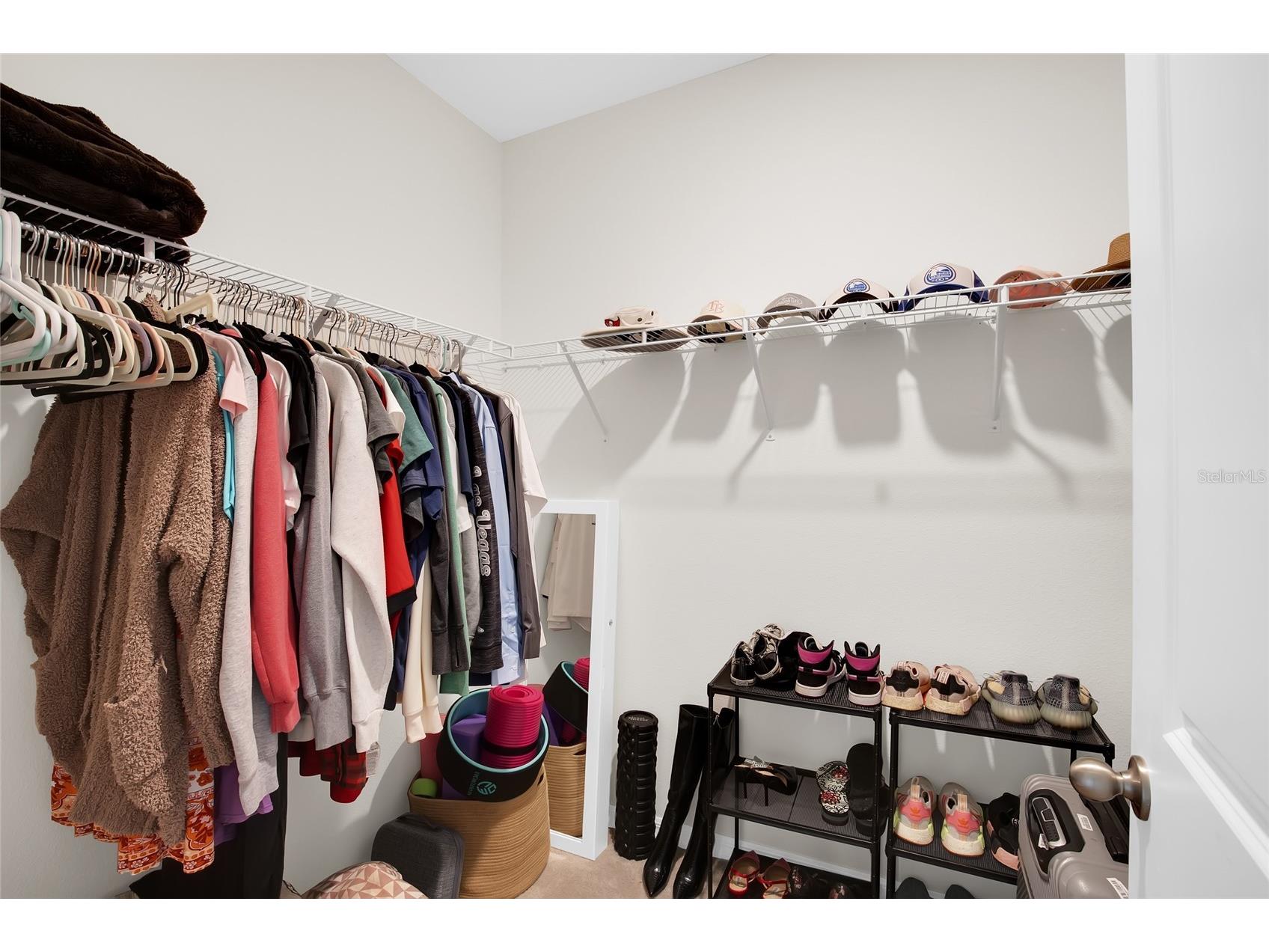 32265 Conchshell Sail Street Wesley Chapel FL 33545 TB8494878 image38