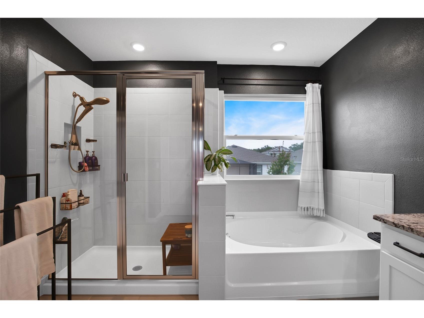 32265 Conchshell Sail Street Wesley Chapel FL 33545 TB8494878 image40
