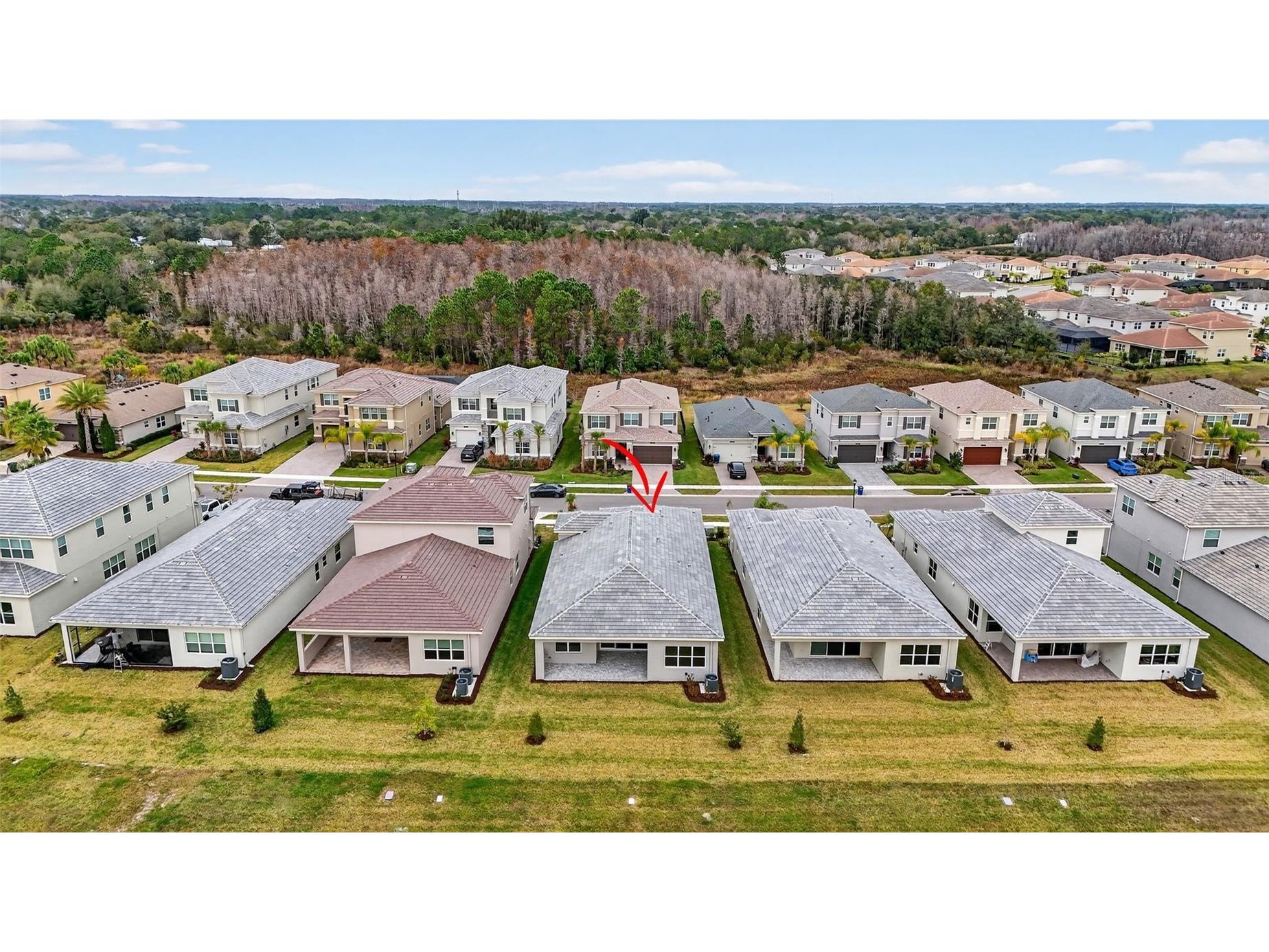 32268 Mahogany Valley Drive Wesley Chapel FL 33543 TB8465125 image43