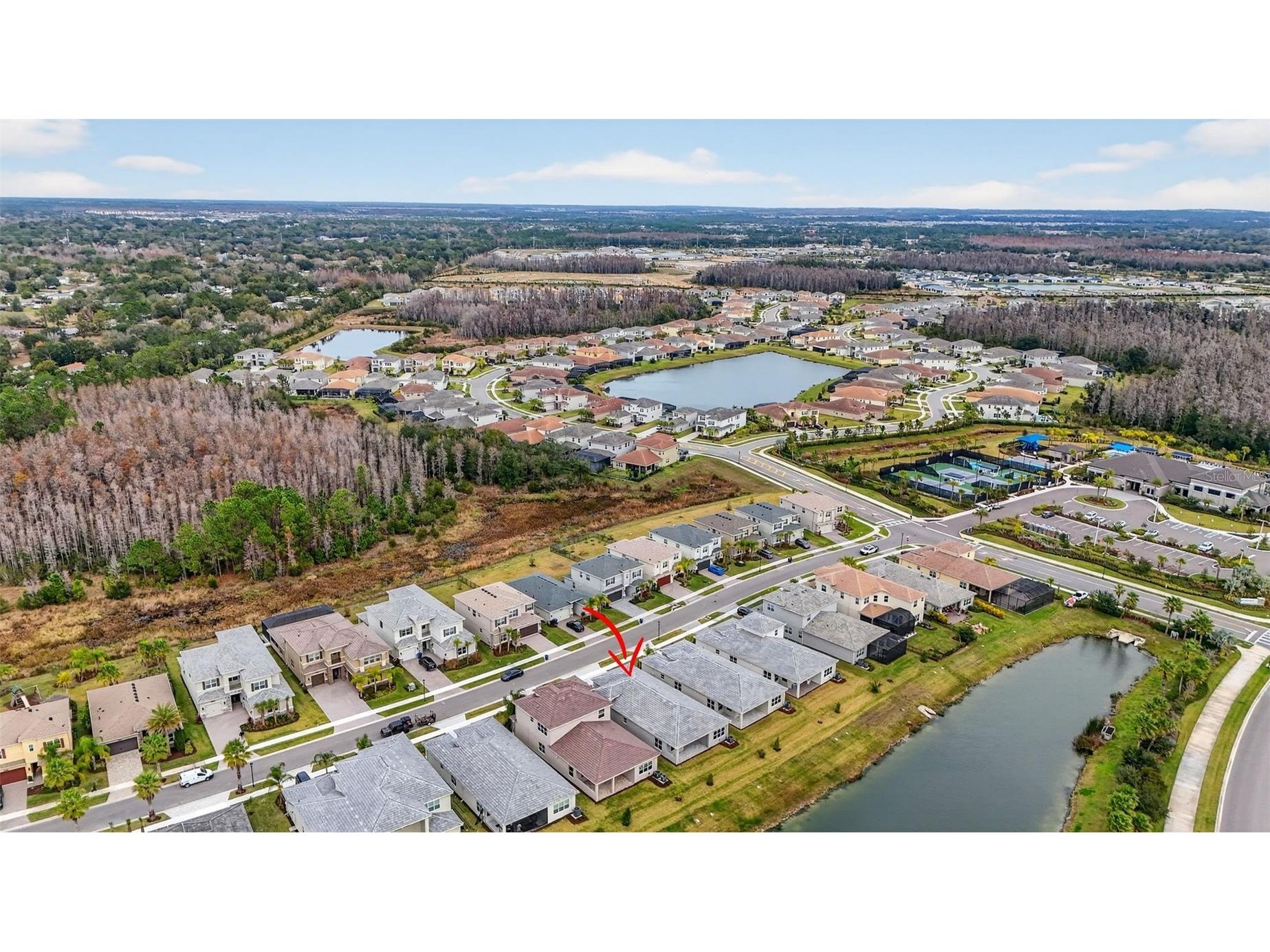 32268 Mahogany Valley Drive Wesley Chapel FL 33543 TB8465125 image53