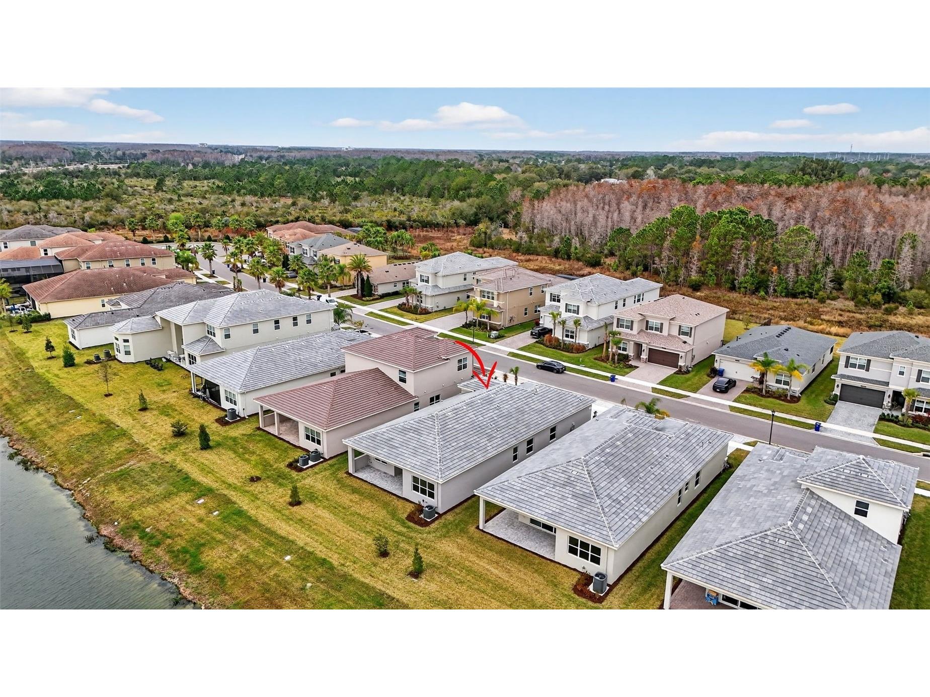 32268 Mahogany Valley Drive Wesley Chapel FL 33543 TB8465125 image56