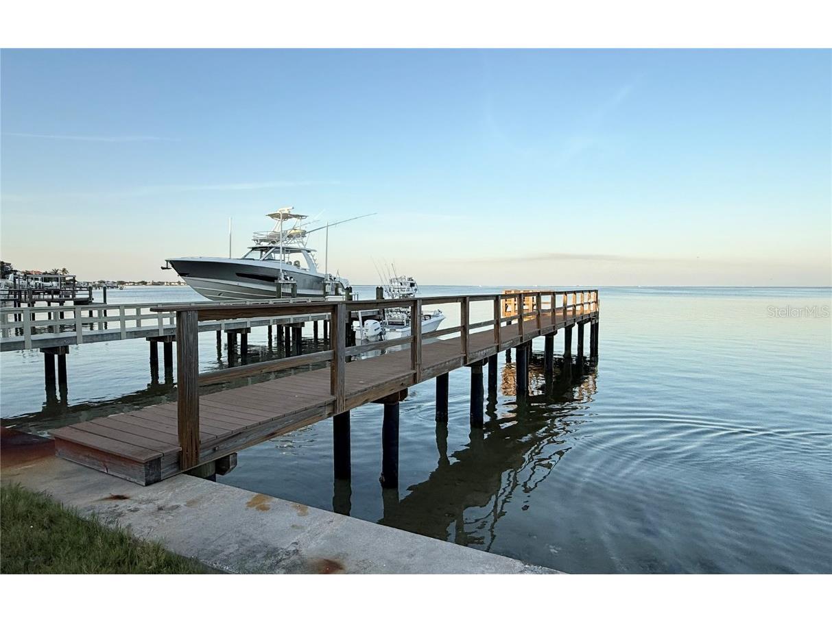 3227 Bayshore Boulevard NE Saint Petersburg FL 33703 - TAMPA BAY TB8444867 image33