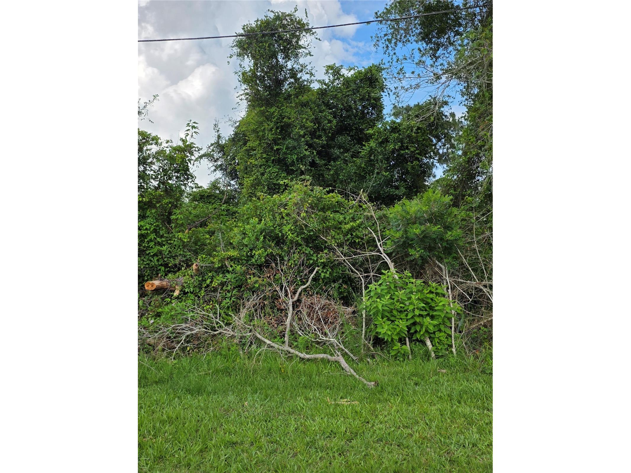 3227 Urmey Avenue Deltona FL 32738 V4949383 image3