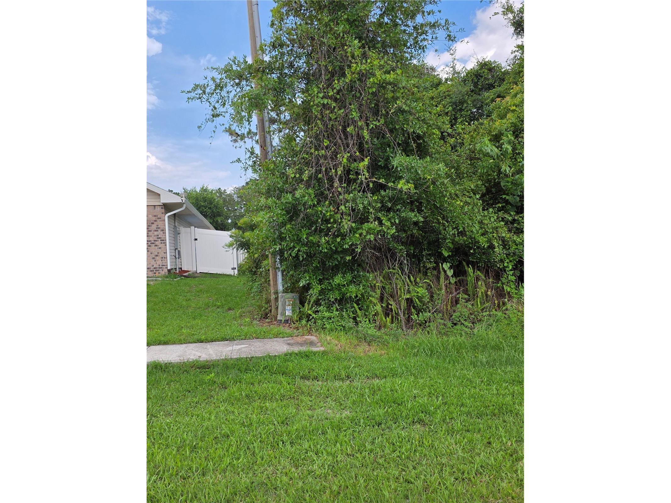 3227 Urmey Avenue Deltona FL 32738 V4949383 image4