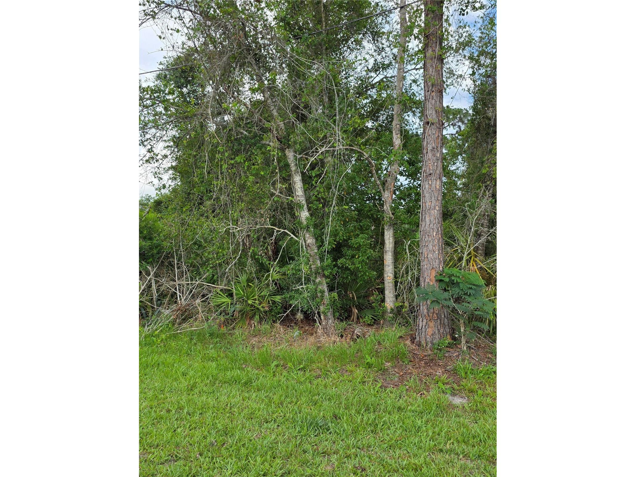 3227 Urmey Avenue Deltona FL 32738 V4949383 image6
