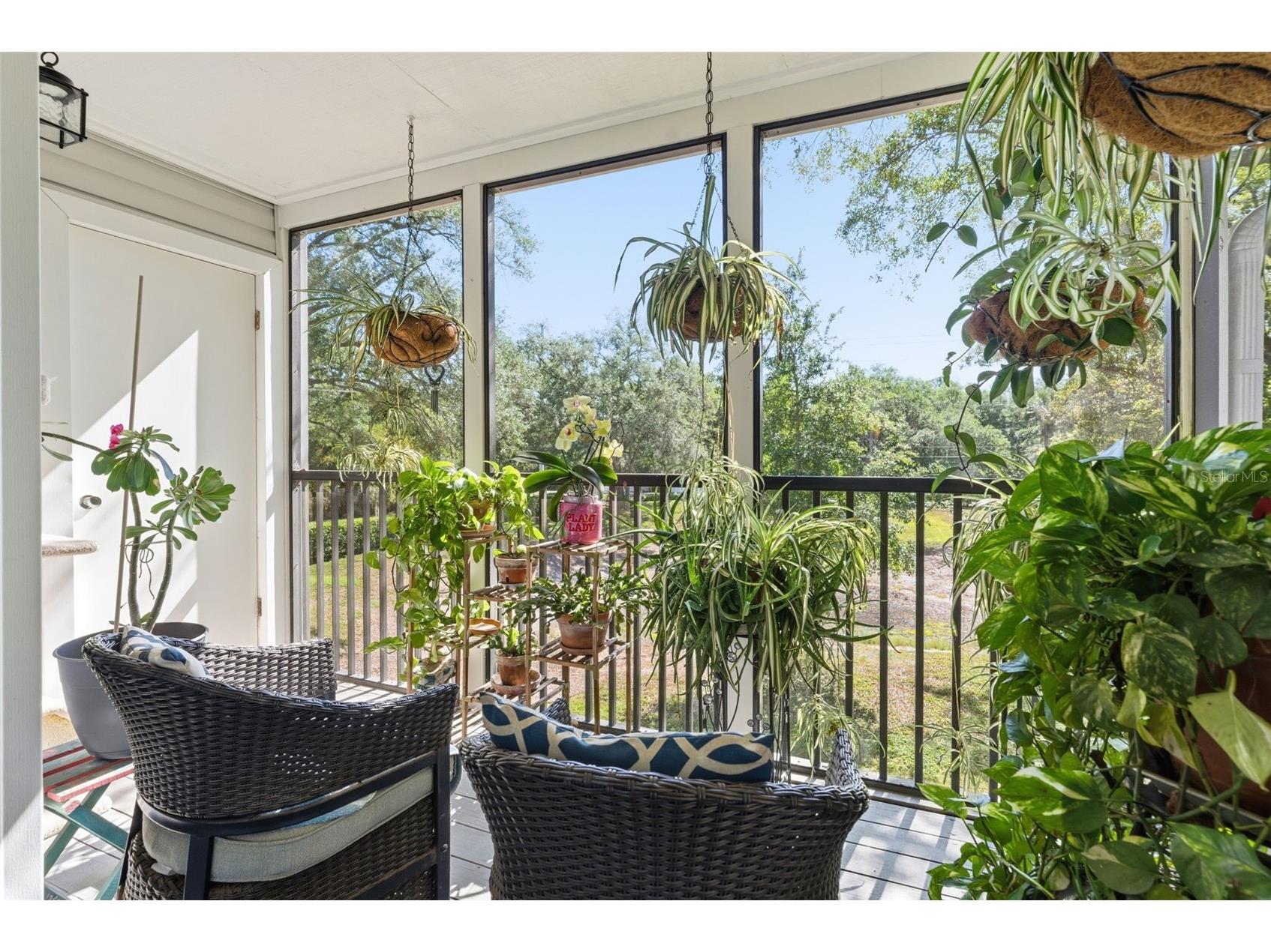 3227 Valley Oaks Drive #N/A Tampa FL 33618 TB8503874 image27