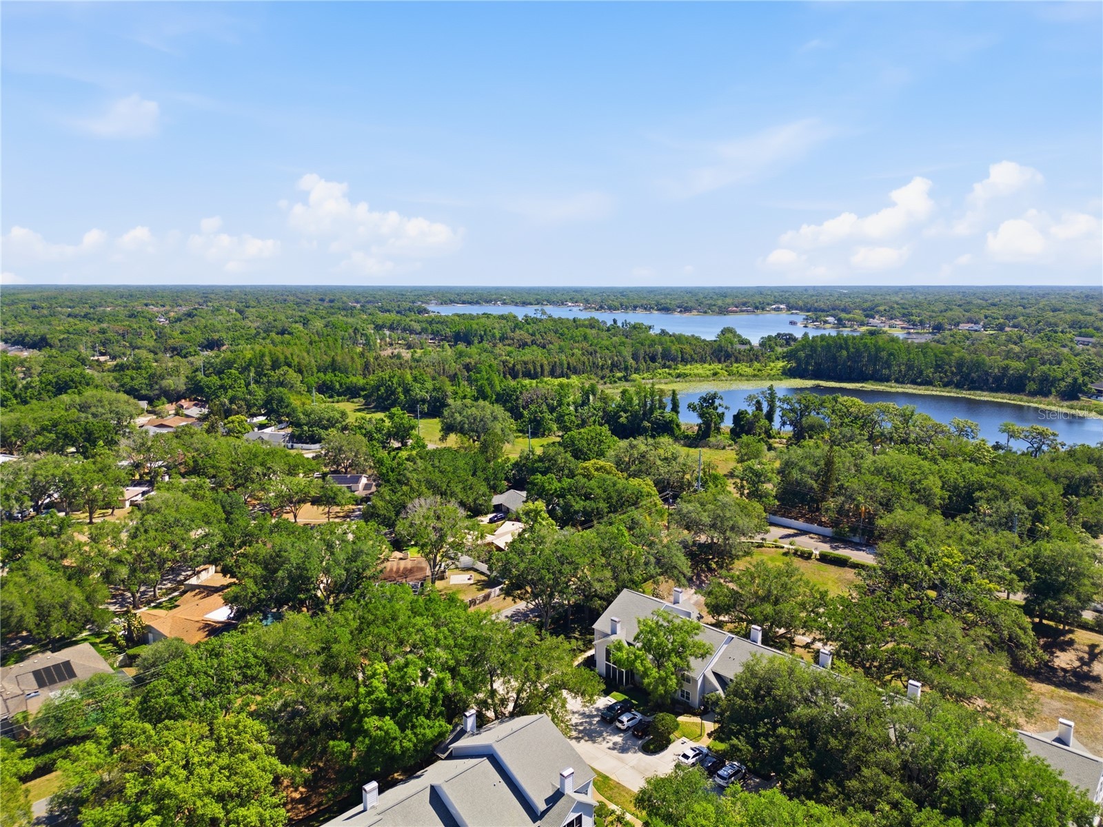 3227 Valley Oaks Drive #N/A Tampa FL 33618 TB8503874 image36
