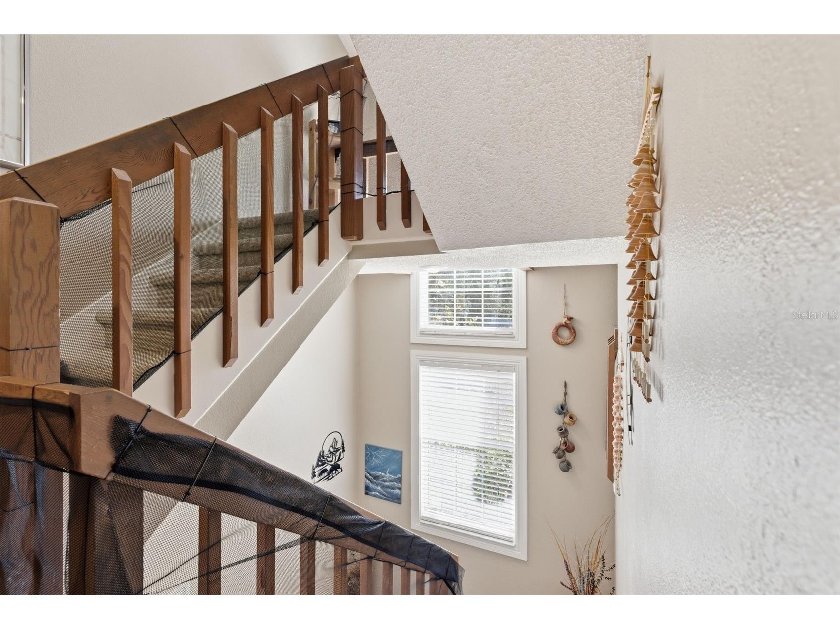3227 Valley Oaks Drive #N/A Tampa FL 33618 TB8503874 image4