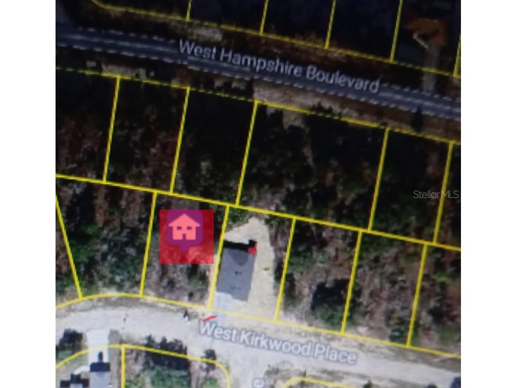 3227 W Kirkwood Place Dunnellon FL 34433 O6340239 image3