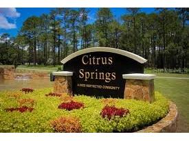 3227 W Kirkwood Place Dunnellon FL 34433 O6340239 image5