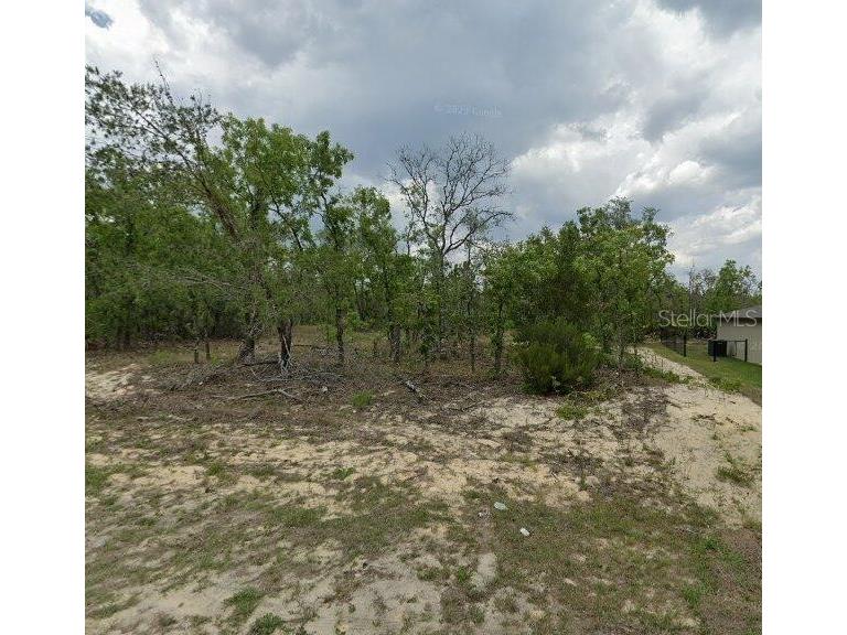 3227 W Kirkwood Place Dunnellon FL 34433 O6340239 image6