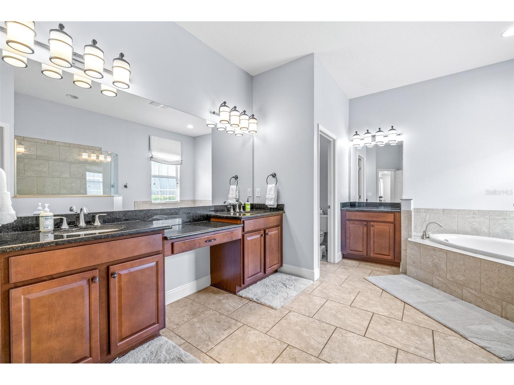 3227 Watermark Drive Wesley Chapel FL 33544 TB8510937 image24