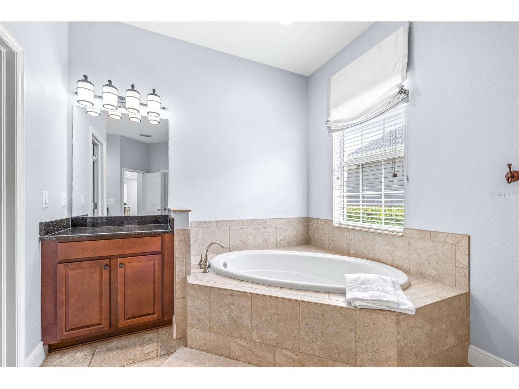 3227 Watermark Drive Wesley Chapel FL 33544 TB8510937 image26