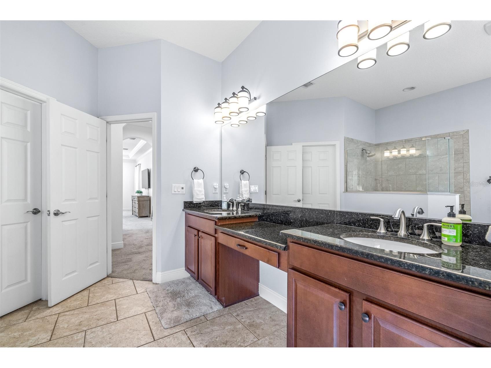 3227 Watermark Drive Wesley Chapel FL 33544 TB8510937 image27