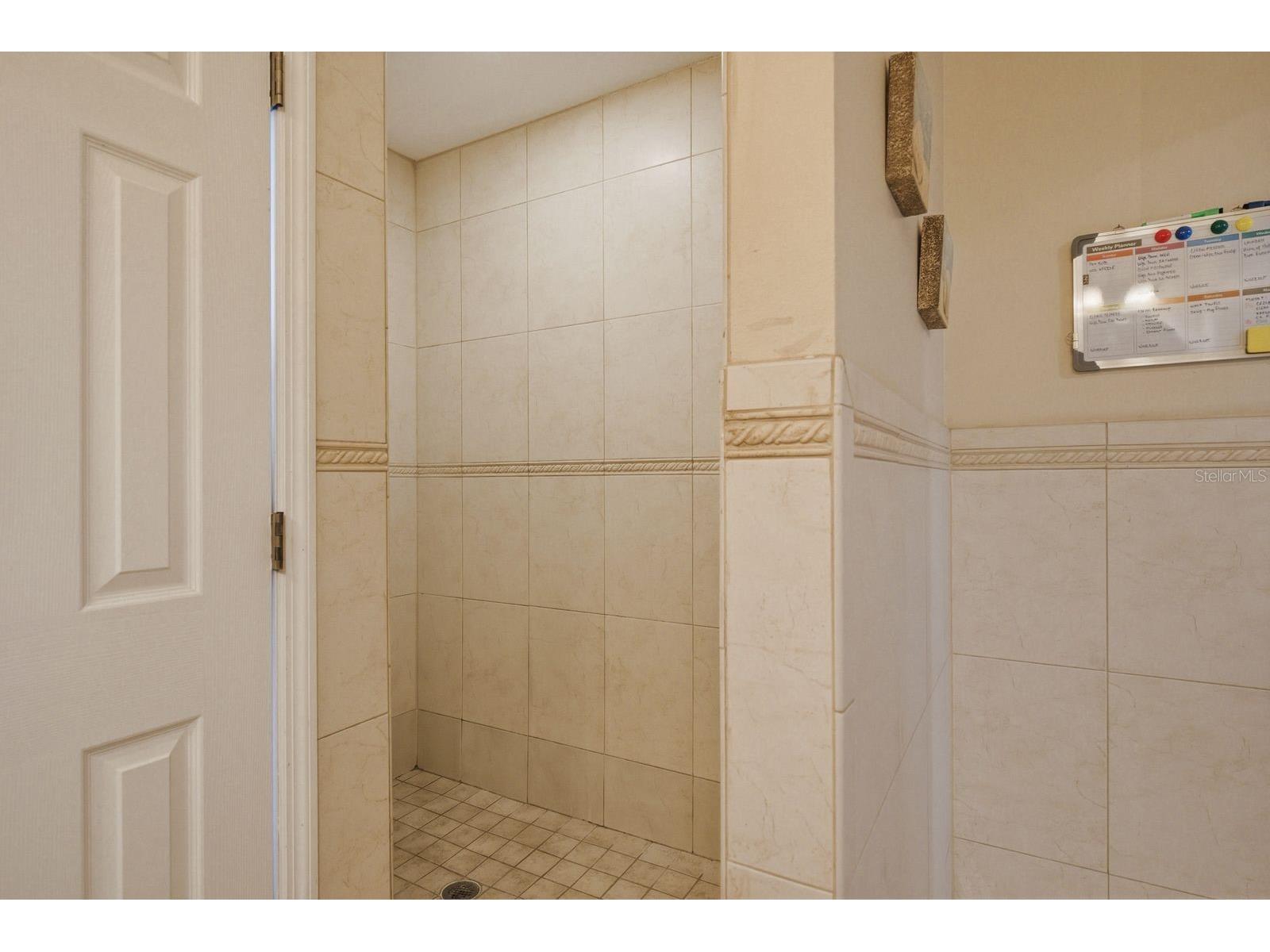 3228 Bentley Drive Palm Harbor FL 34684 TB8504716 image20