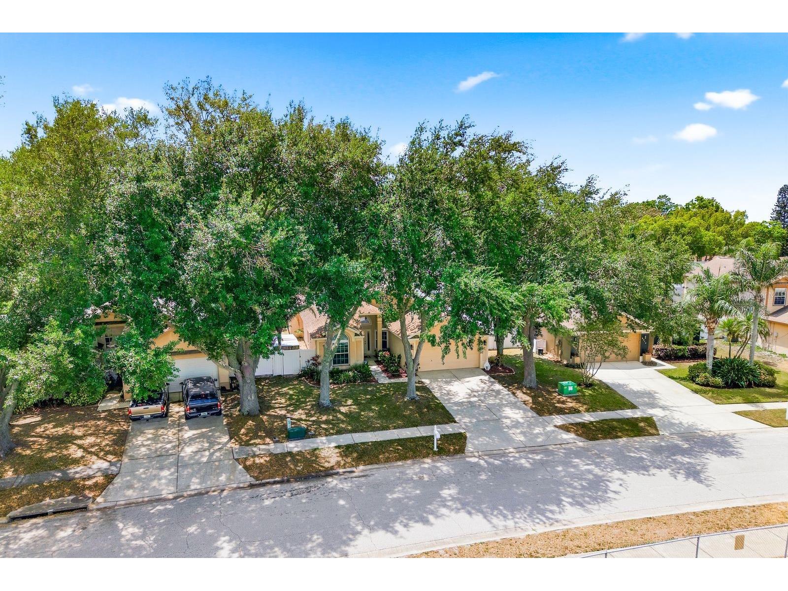 3228 Bentley Drive Palm Harbor FL 34684 TB8504716 image46