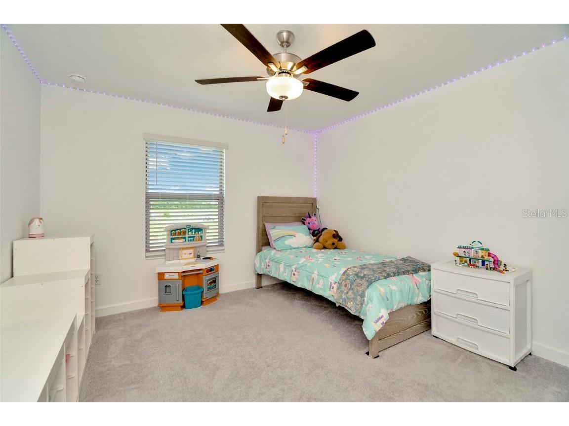 3228 Bryant Park Drive New Port Richey FL 34655 TB8388964 image18