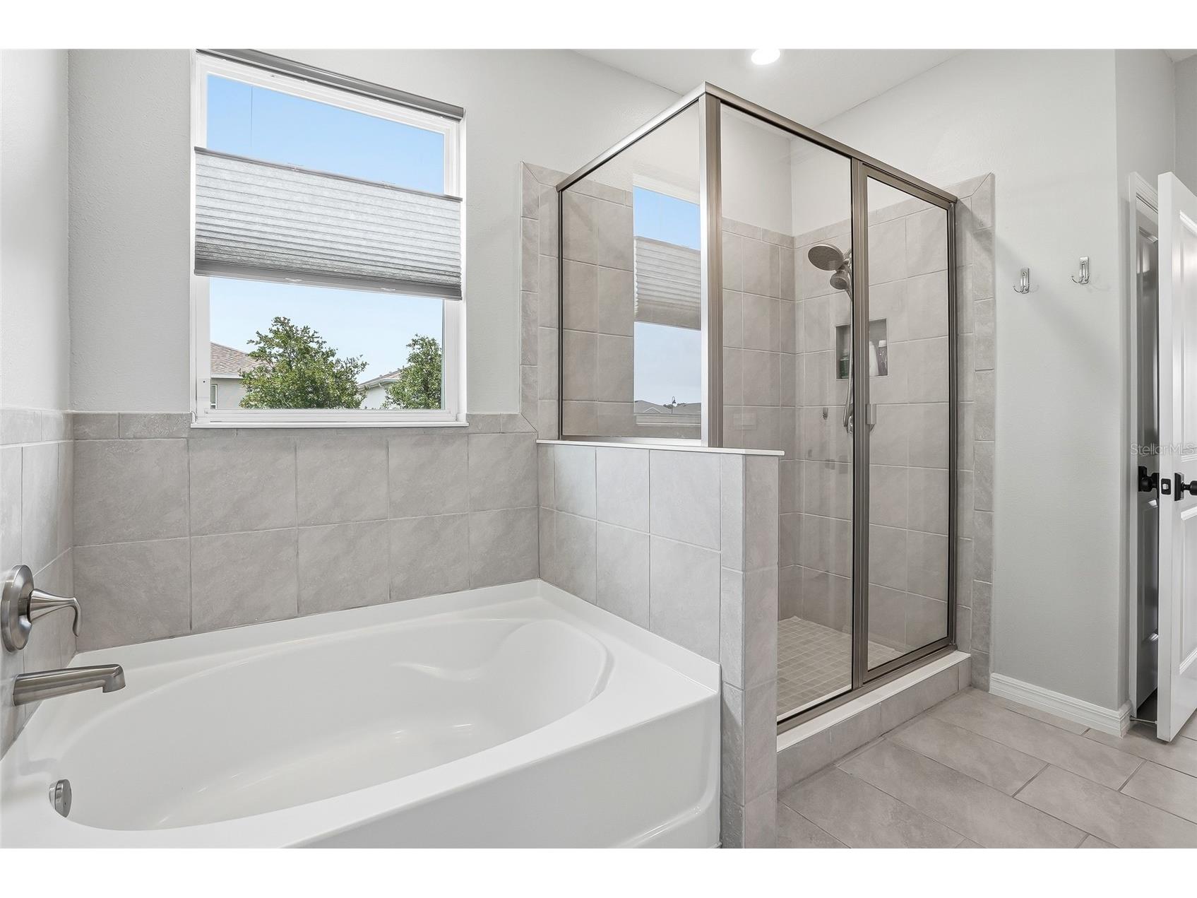3228 Living Coral Drive Odessa FL 33556 O6408341 image22
